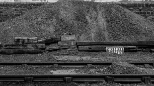 Coal