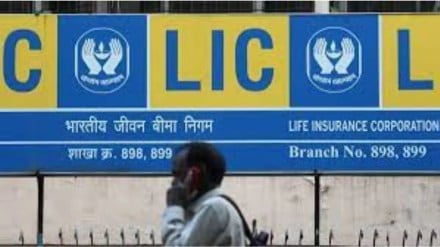LIC share price outlook
