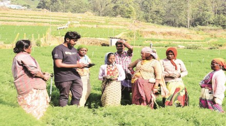 financial inclusion, agriculture