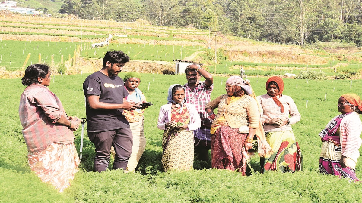 financial inclusion, agriculture financial inclusion, agriculture