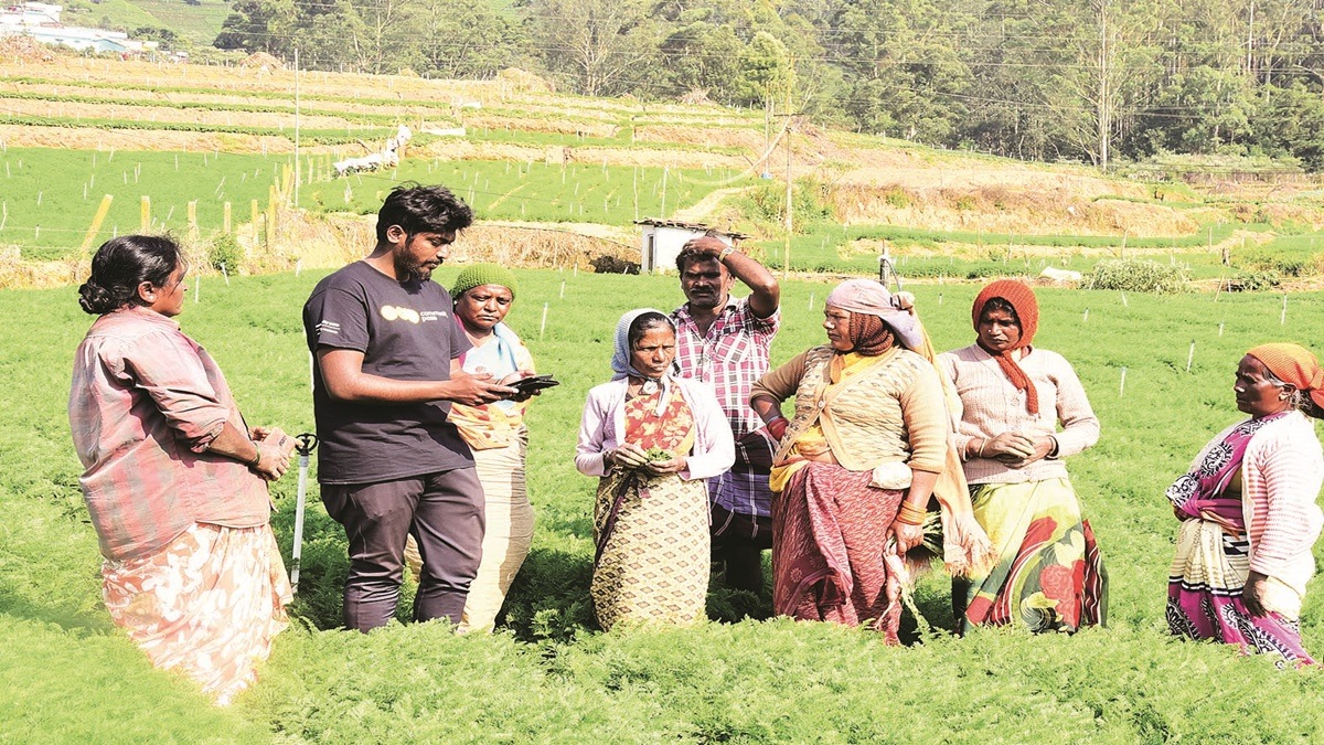 financial inclusion, agriculture financial inclusion, agriculture