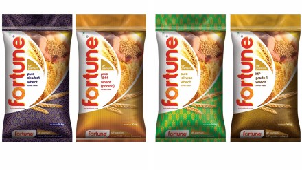 Adani Wilmar, Adani Group, Adani Wilmar Q2 results, profit, revenue, EBITDA, FMCG, input price, inflation