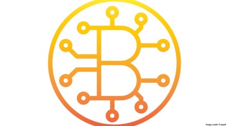 Reportedly, India too can introduce policies which will address transparency in ownership