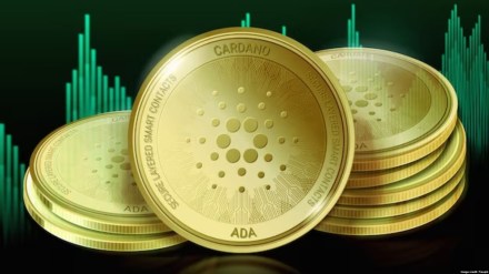 Going by Bitget’s official website, it offers cryptocurrency trading services