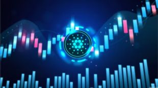 Other companies apart from Binance also took steps during Multichain’s downtime
