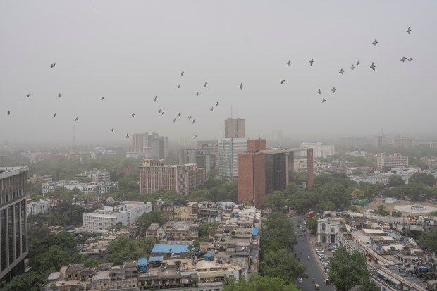 A flock of pigeons fly as dust envelopes the horizon in New Delhi. (AP photo)