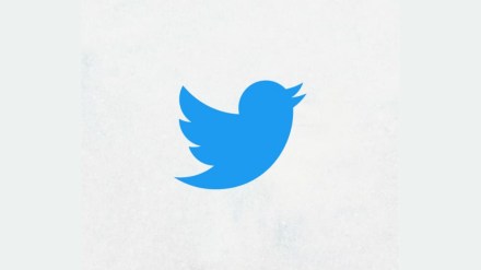 Musk tweeted on Thursday that he's found a new CEO but didn't say who, one word stuck out: “she”. Musk tweeted on Thursday that he's found a new CEO but didn't say who, one word stuck out: “she”.