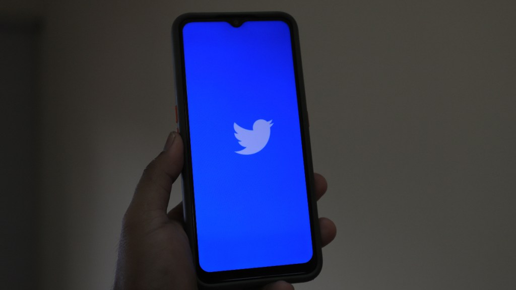 An attempt to recoup that revenue by selling Twitter Blue subscriptions has so far failed to take off