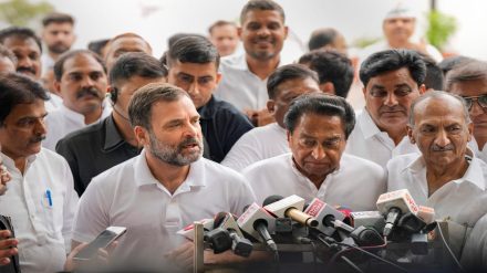Rahul Gandhi, Madhya Pradesh