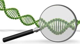 Covid-19, World Health Organisation (WHO), Disease X, what is disease X, pandemic