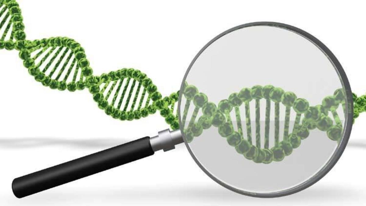 Covid-19, World Health Organisation (WHO), Disease X, what is disease X, pandemic Covid-19, World Health Organisation (WHO), Disease X, what is disease X, pandemic