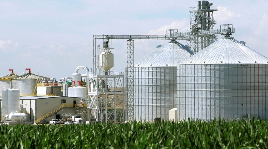 biofuel alliance, socio-economic development, sustainability, G20 Presidency, collaboration, energy security, economic stability, biofuel production, Renewable Energy, infrastructure, fossil fuels