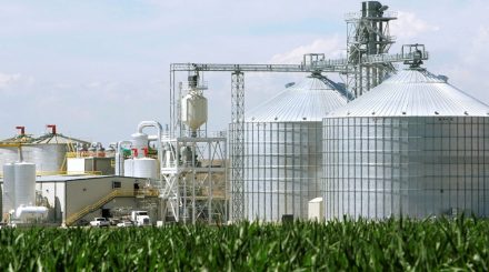 biofuel alliance, socio-economic development, sustainability, G20 Presidency, collaboration, energy security, economic stability, biofuel production, Renewable Energy, infrastructure, fossil fuels