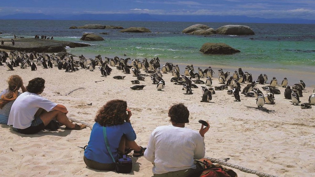 Mother’s Day, Mother’s Day travel, Cape Town, Africa, Mother’s Day Africa, Mother’s Day travel, mother day travel, lifestyle