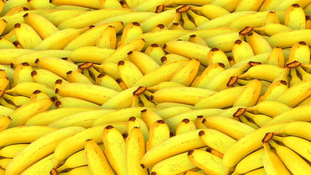Banana, Banana benefits, ripe bananas, food, health news,