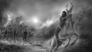 entertainment, cannes film festival