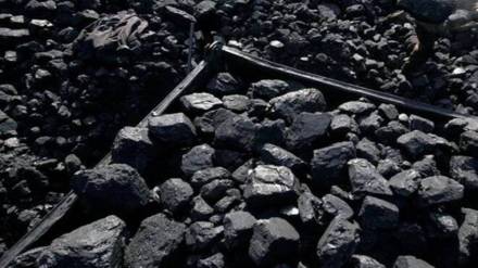 coal imports