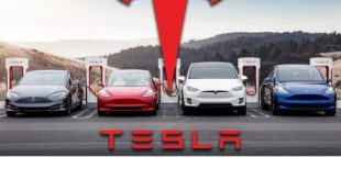 tesla india plans
