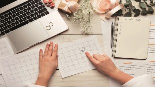 apple inc, technology