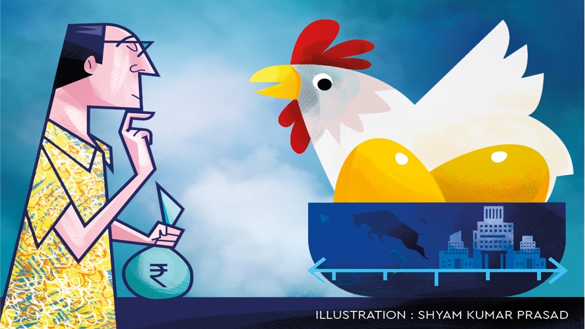 personal finance, dividends