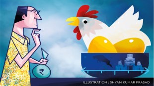 personal finance, dividends