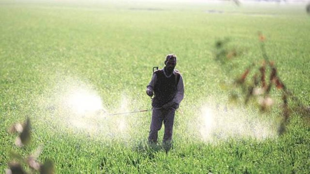 fertilizer, economy