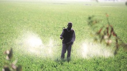 fertilizer, economy