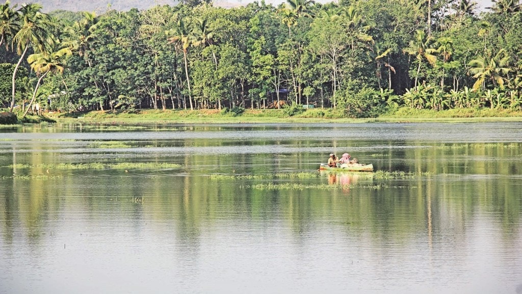 book review, lifestyle