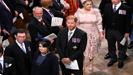 kings charles coronation, prince harry