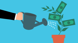 best multi-cap funds in 1 year