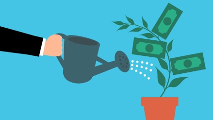 best multi-cap funds in 1 year