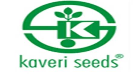 kaveri seeds