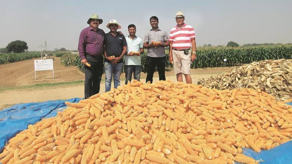 maize production, ethanol