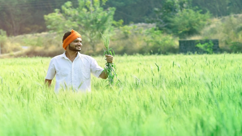 farmer producer organisation, fpo, entrpreneurs, entrepreneurship, funding, agriculture, agri entrepreneurs, rural entrepreneurs, fpo in india, farmer members