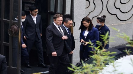 Elon Musk, China's commerce minister, Tesla, Tesla CEO, Wang Wentao, World