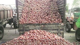 onion, economy