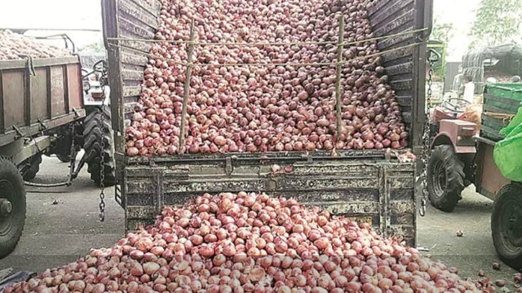 onion, economy
