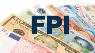 FPI investors, FPI, FPI Investment, foreign portfolio investors