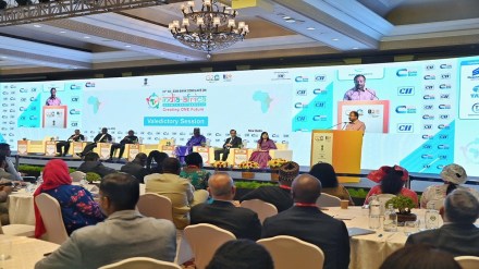 V Muraleedharan, indo africa summit, india-africa summit, india-africa partnership,