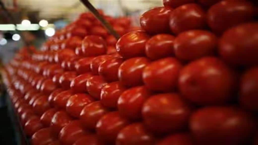 tomato prices, tomato prices in delhi, tomato prices news, tomato,