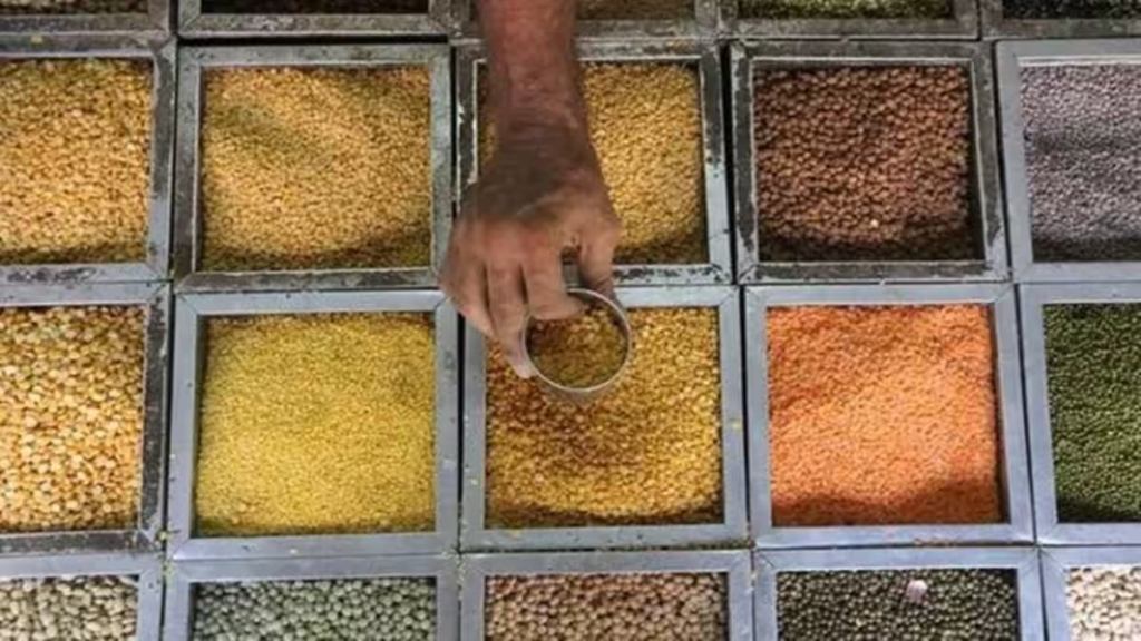 tur dal, pulses, pulses stock, pulses import,