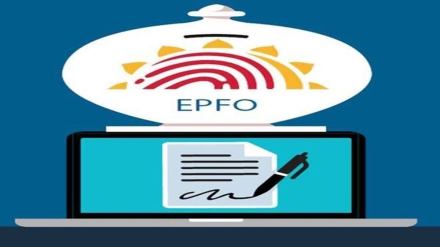 EFPO dues, how to get EFPO dues, EPF, Insolvency and Bankruptcy Code