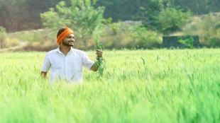 farmer producer organisations, FPOs, NAFED,