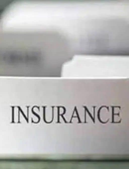 insurance industry, life insurance, premium, APE, group single premiums, private companies, ULIPs, HDFC Life, SBI Life, LIC, Max Life, ICICI Prudential Life, VNB growth insurance industry, life insurance, premium, APE, group single premiums, private companies, ULIPs, HDFC Life, SBI Life, LIC, Max Life, ICICI Prudential Life, VNB growth