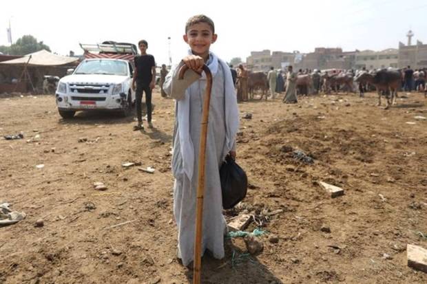 Sayed Hussein, 8-years-old son of a cattle trader, poses for a photograph in front of a livestock market, ahead of the Muslim festival of sacrifice Eid al-Adha on the outskirts of Giza, Egypt. REUTERS