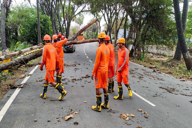 NDRF personnel clear trees uprooted following the landfall of Cyclone Biparjoy, in Diu. The intensity of cyclone Biparjoy which lashed the Saurashtra-Kutch region has reduced from 'very severe' to 'severe' category hours after making landfall in coastal areas of Gujarat. (PTI Photo)