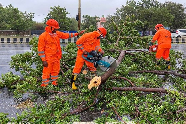 NDRF personnel clear trees uprooted following the landfall of Cyclone Biparjoy, in Gandhidham. The intensity of cyclone Biparjoy which lashed the Saurashtra-Kutch region has reduced from 'very severe' to 'severe' category hours after making landfall in coastal areas of Gujarat. (PTI Photo)