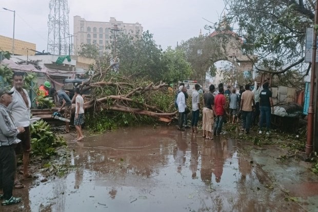 Dwarka: Workers remove trees uprooted following the landfall of Cyclone Biparjoy, in Dwarka, Friday, June 16, 2023. Cyclone Biparjoy, a very severe cyclonic storm, made landfall near Jakhau Port in Gujarat on Thursday evening with a wind speed of 115-125 kmph gusting to 140 kmph as heavy rains lashed the coastal region. (PTI Photo)