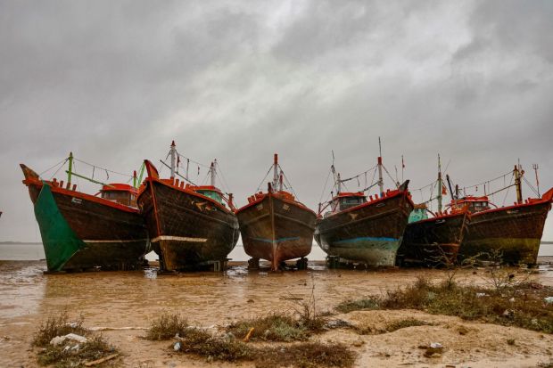 Fishing activities along Gujarat's south and north coasts have been suspended and authorities began evacuating people in districts by the sea in view of cyclone 'Biparjoy'. (PTI Photo)