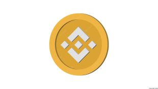 Reportedly, Bitcoin steadied after falling more than five percent